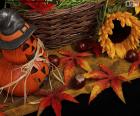 Cadılar Bayramı, kabak ve sonbahar öğeleri günü için dekore edilmiş